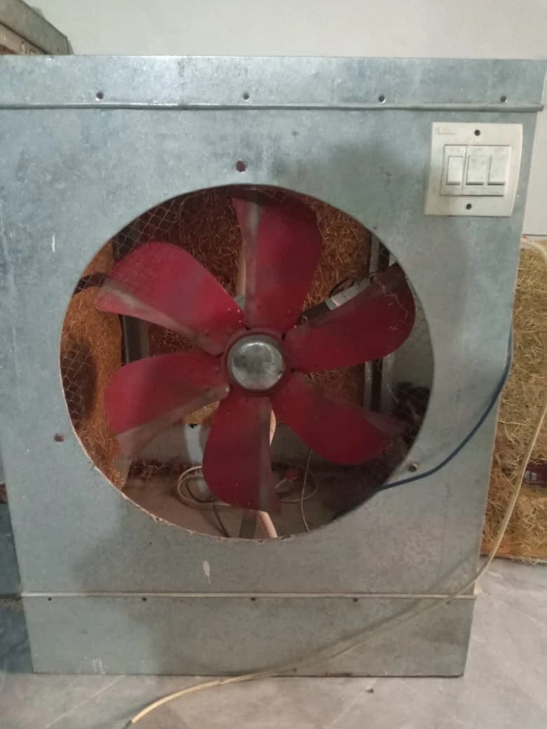 air cooler